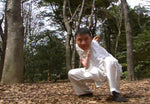 Obaisho Den Ryushi Bagua 64 Palms DVD by Kou Shouhi - Budovideos Inc