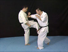 Born to be Strongest: Shinkyokushinkai Karate Instructional 4 DVD Set - Budovideos Inc