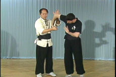 Chin Na In Depth DVD Vol 1-4 with Dr Yang, Jwing Ming - Budovideos Inc