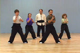 Shaolin White Crane Gong Fu Basic Training DVD Vol 1 & 2 with Dr Yang, Jwing Ming - Budovideos Inc