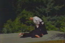 Samurai Aikijutsu DVD by Toshishiro Obata - Budovideos Inc