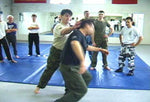 Systema - Strikes DVD - Budovideos Inc