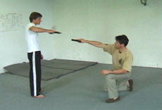 Systema - Personal Protection DVD - Budovideos Inc