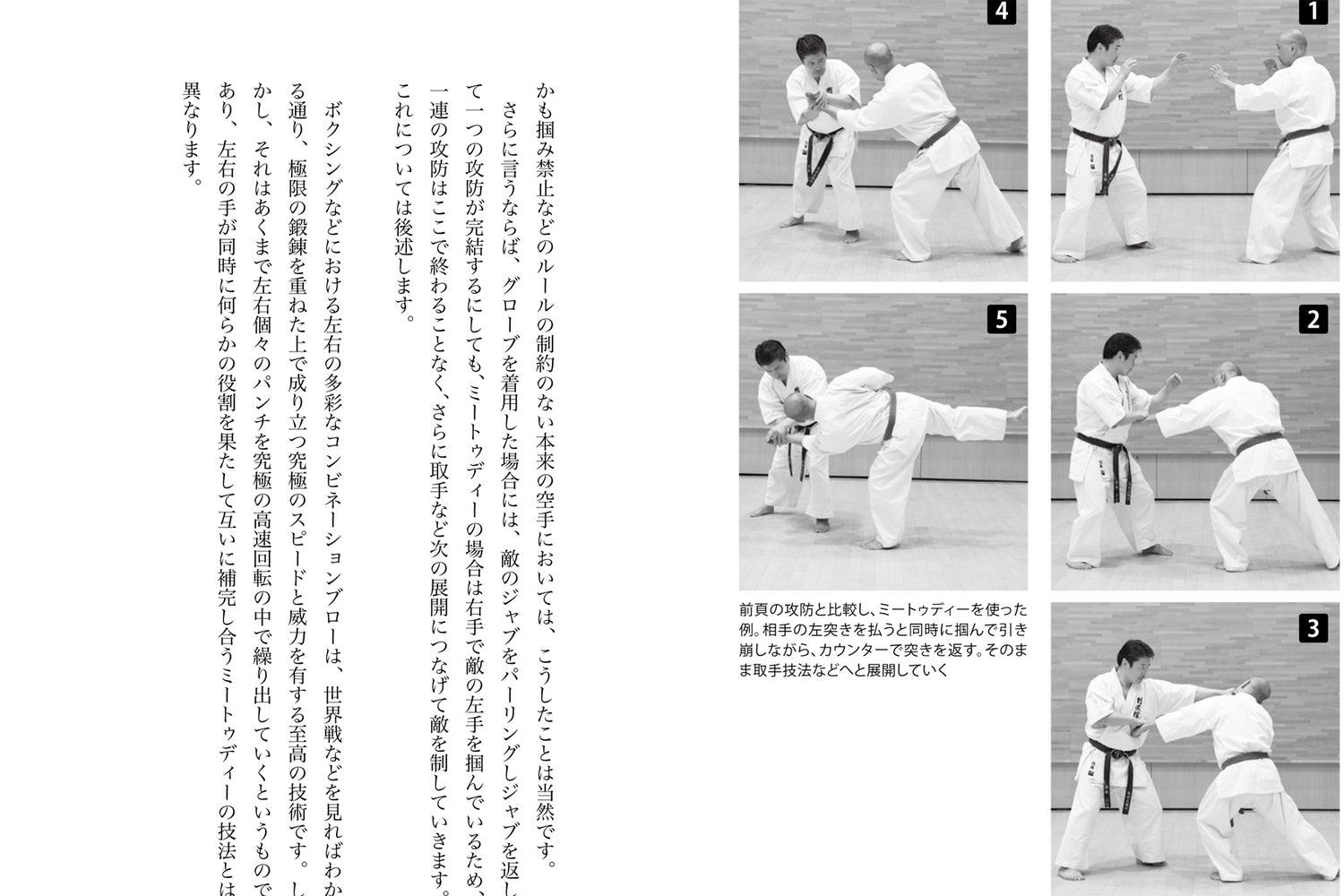 Meotodo of Karate Book by Tetsuji Sato