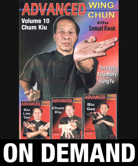 Advanced Wing Chun: Keys to Ip Man's Kung Fu Vol 10 with Samuel Kwok (On Demand) - Budovideos Inc