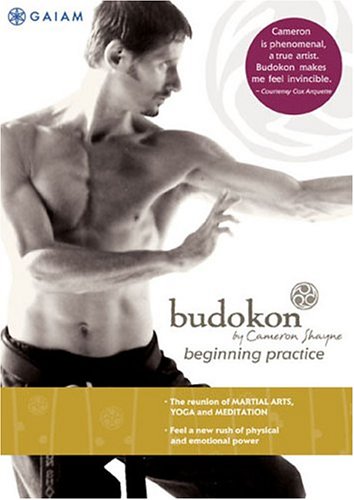 Budokon para principiantes DVD de Cameron Shayne (usado) 