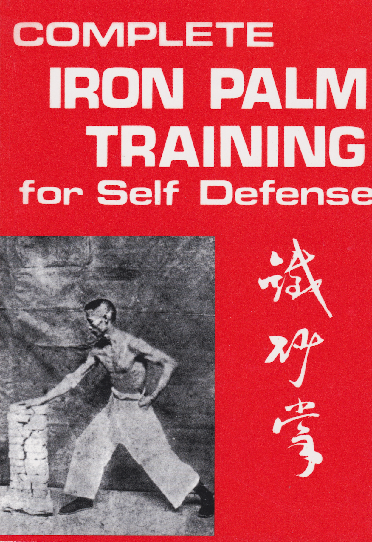 Complete Iron Palm Training for Self Defense Book by H C Chao