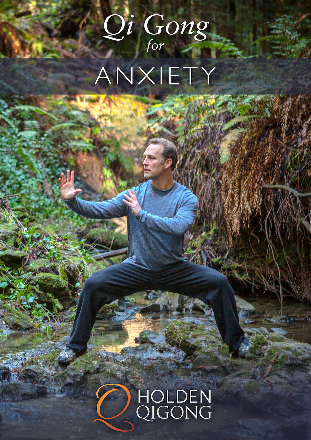 Qi Gong for Anxiety DVD with Lee Holden - Budovideos Inc