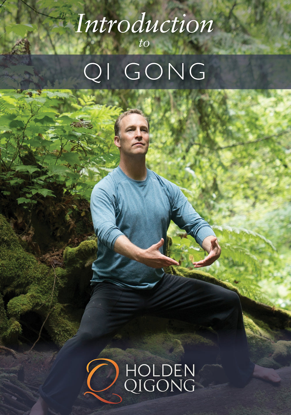 Introduction to Qi Gong DVD with Lee Holden - Budovideos Inc