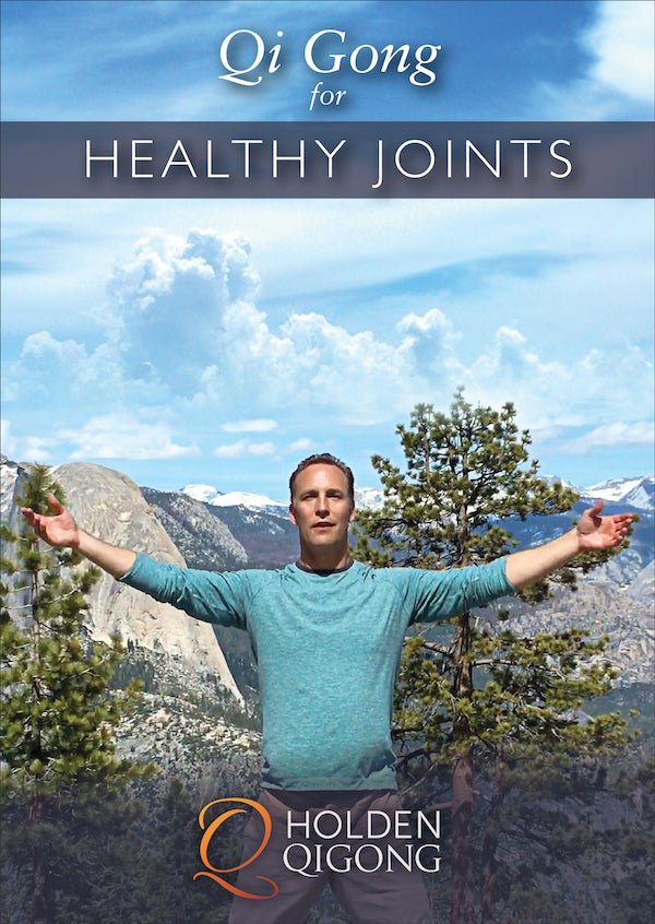 Qi Gong for Healthy Joints DVD with Lee Holden - Budovideos Inc