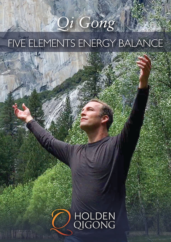 Qi Gong Five Elements Energy Balance DVD with Lee Holden - Budovideos Inc