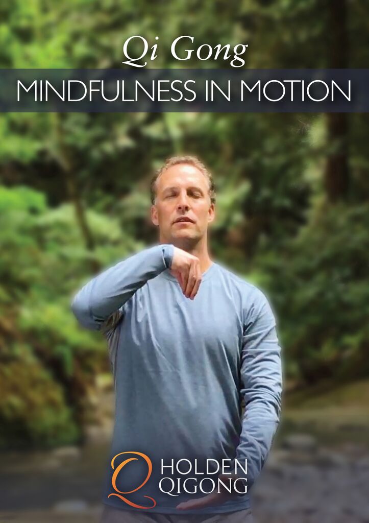 Qi Gong Mindfulness in Motion DVD with Lee Holden - Budovideos Inc