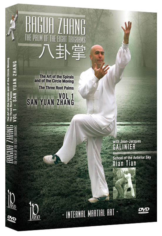 Bagua Zhang DVD 1 by San Yuan Zhang - Budovideos Inc