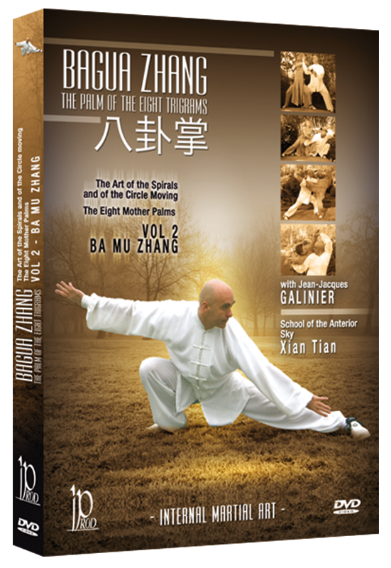 Bagua Zhang DVD 2 by San Yuan Zhang - Budovideos Inc