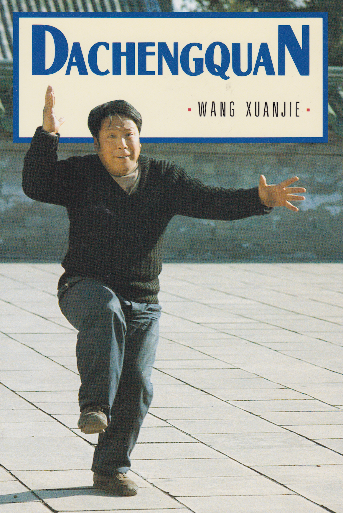 Dachengquan (Yiquan) Book by Wang Xuanjie (Preowned)