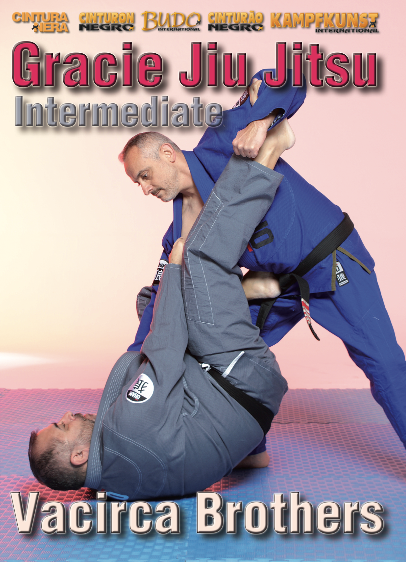 Gracie Jiu-Jitsu Intermediate DVD by Vacirca Brothers