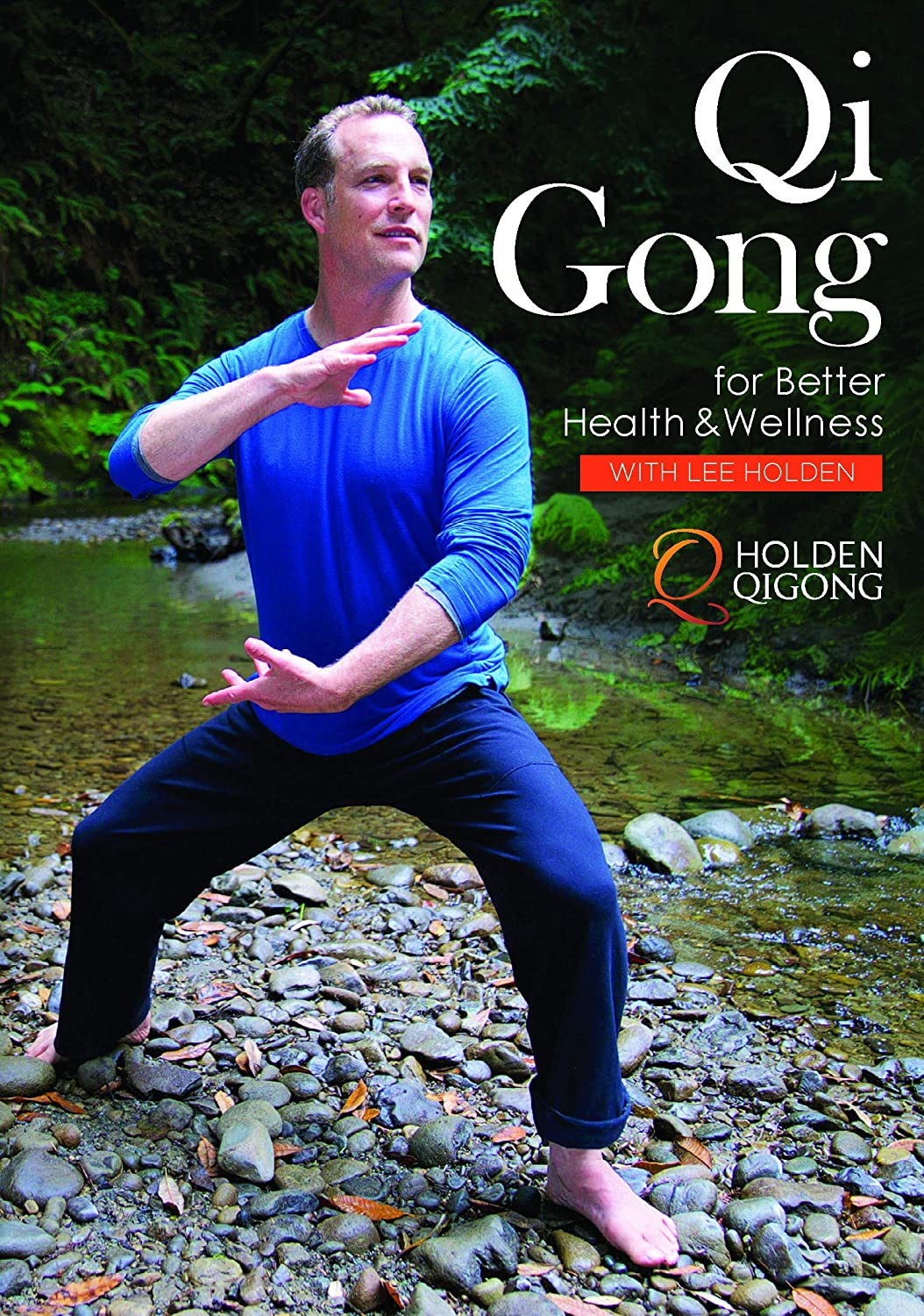 Grandes cursos de Qi Gong para una mejor salud y bienestar, juego de 4 DVD con Lee Holden (usado) 