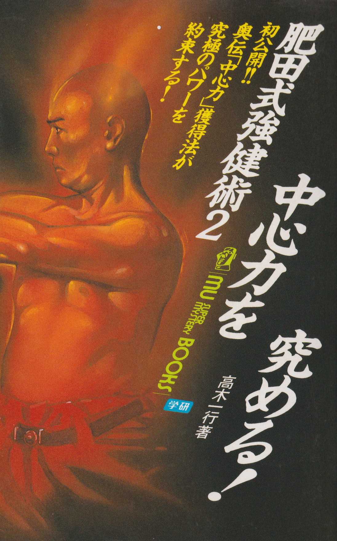 Hida Style Strong Technique Book 2: Chushin Ryoku by Ikko Takagi (Preowned)