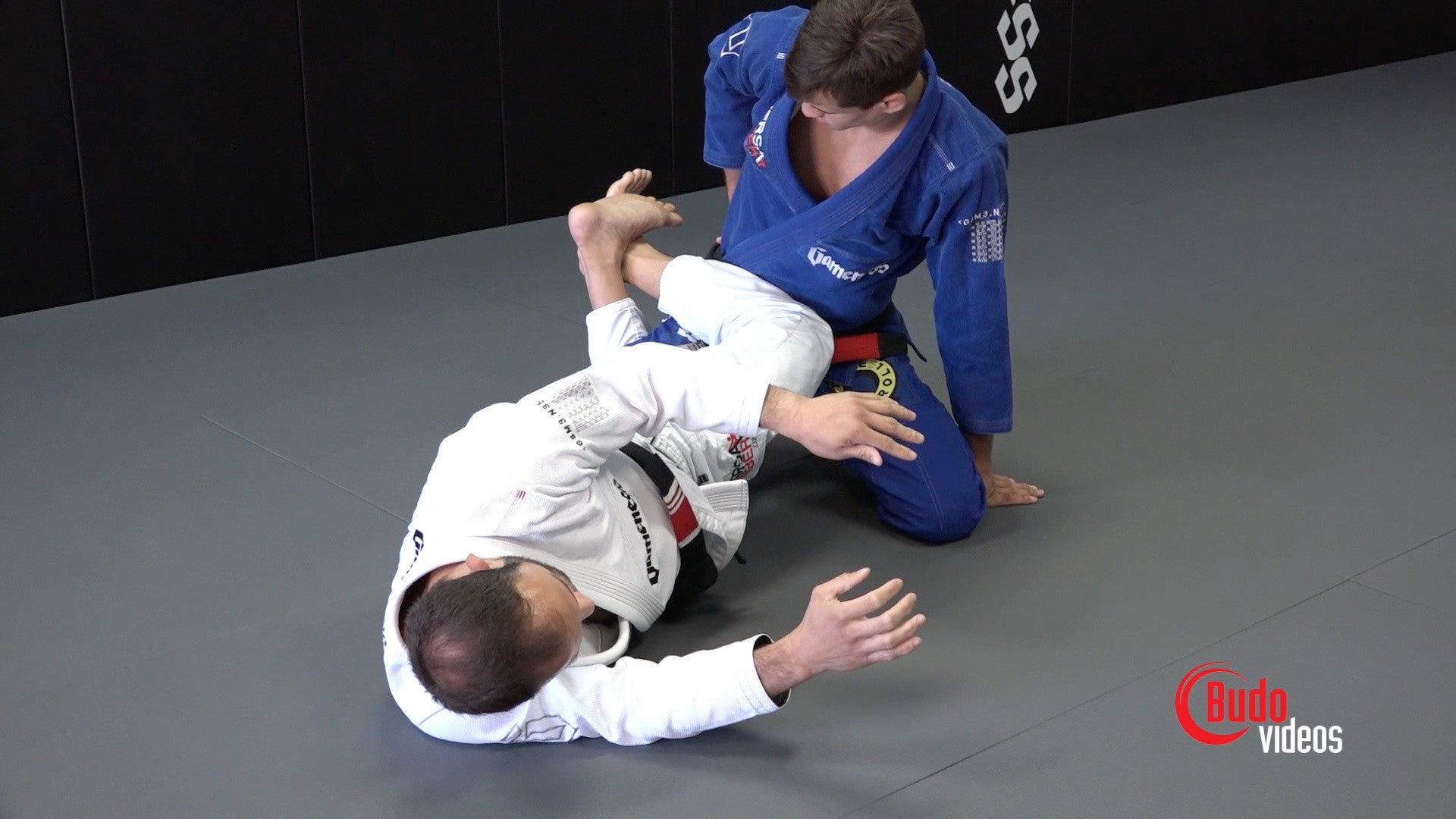 スポーツ・フィットネス THE HIP CLAMP GUARD by Samir Chantre The Hip Clamp by Samir Chantre (On Demand) – Budovideos Inc