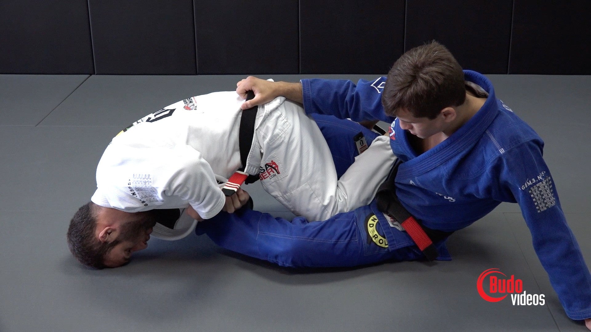スポーツ・フィットネス THE HIP CLAMP GUARD by Samir Chantre The Hip Clamp Guard DVD by Samir Chantre – Budovideos Inc