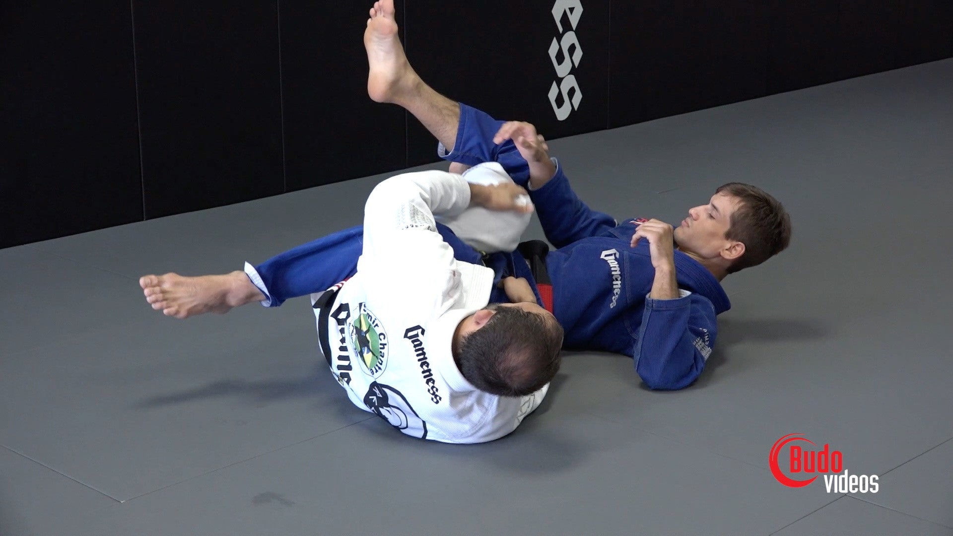 スポーツ・フィットネス THE HIP CLAMP GUARD by Samir Chantre The Hip Clamp Guard by Samir Chantre - Budovideos.com - YouTube