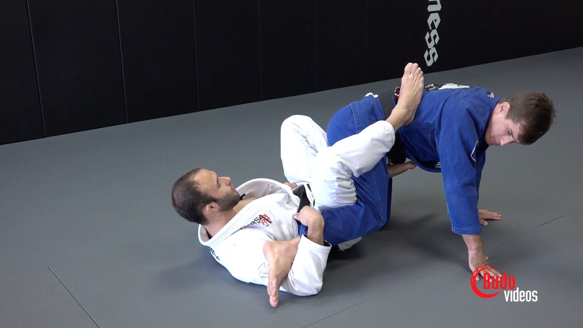 スポーツ・フィットネス THE HIP CLAMP GUARD by Samir Chantre The Hip Clamp Guard DVD by Samir Chantre – Budovideos Inc