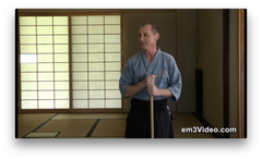 JODO Way of the Stick by Michael Belzer (On Demand) - Budovideos Inc