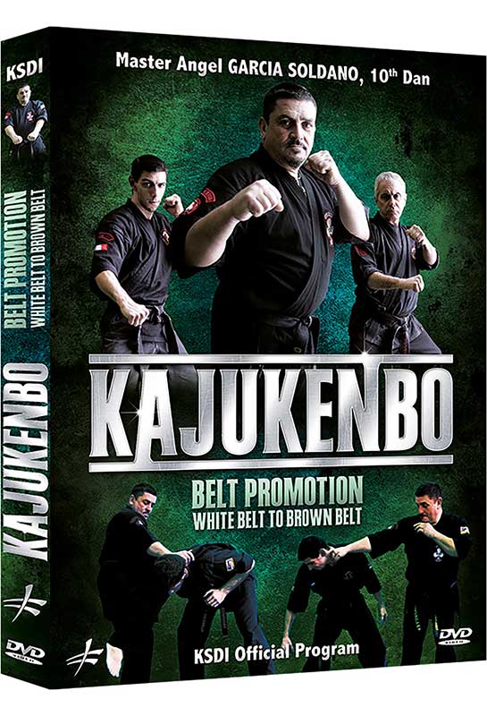 Kajukenbo Belt Promotion White Belt to Brown Belt (On Demand)