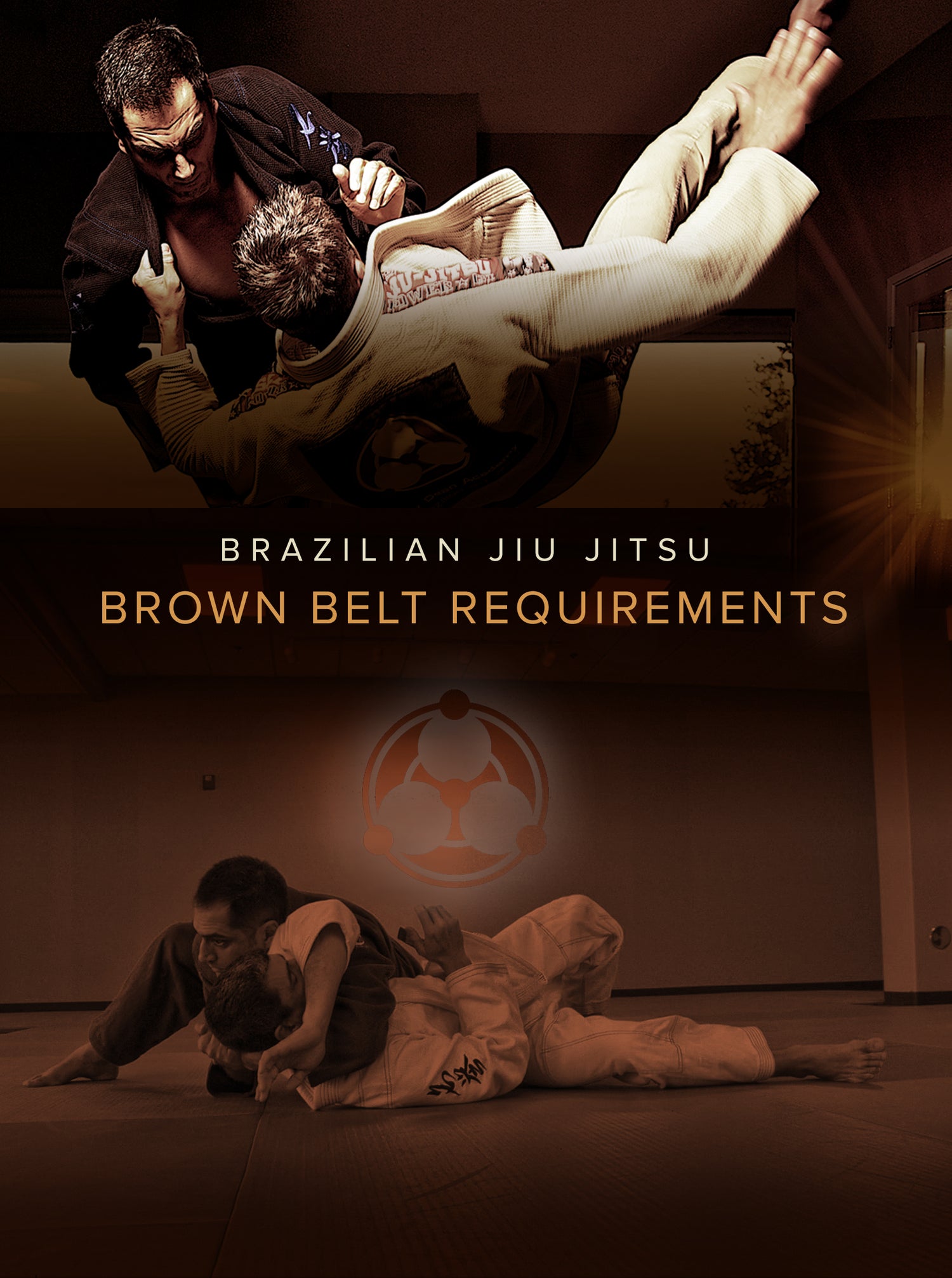 Brown Belt Requirements by Roy Dean (On Demand) - Budovideos