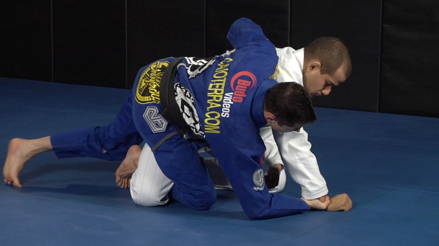 CAIO TERRA 111 HALF GUARD TECHNIQUES 柔術 111 Half Guard Techniques 3 DVD Set with Caio Terra