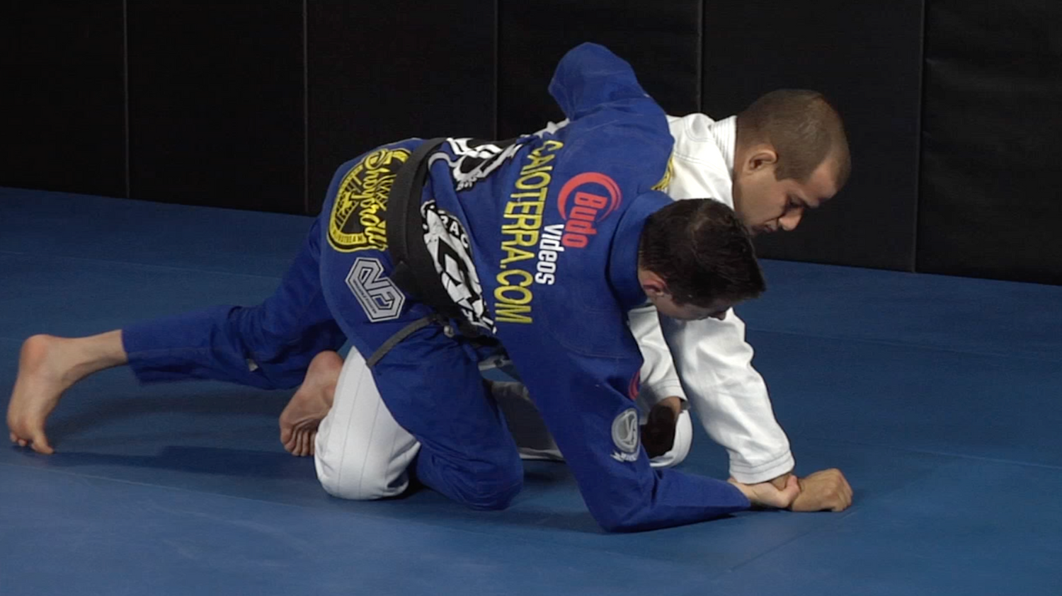 111 Half Guard Techniques 3 DVD Set with Caio Terra - Budovideos Inc