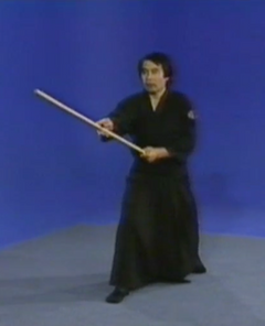 Shinto Muso Ryu Jodo 2 DVD Set by Masayuki Shimabukuro - Budovideos Inc