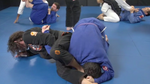 Kurt Osiander & Sean Roberts Seminar DVD - Budovideos Inc