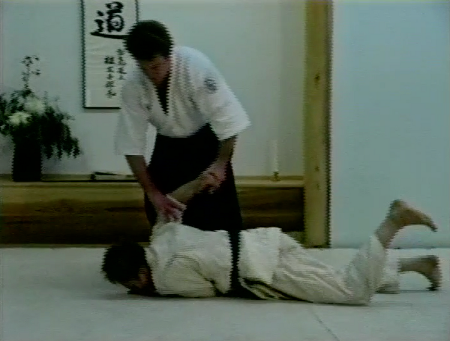 Aikido for Children DVD by Bruce Bookman - Budovideos Inc