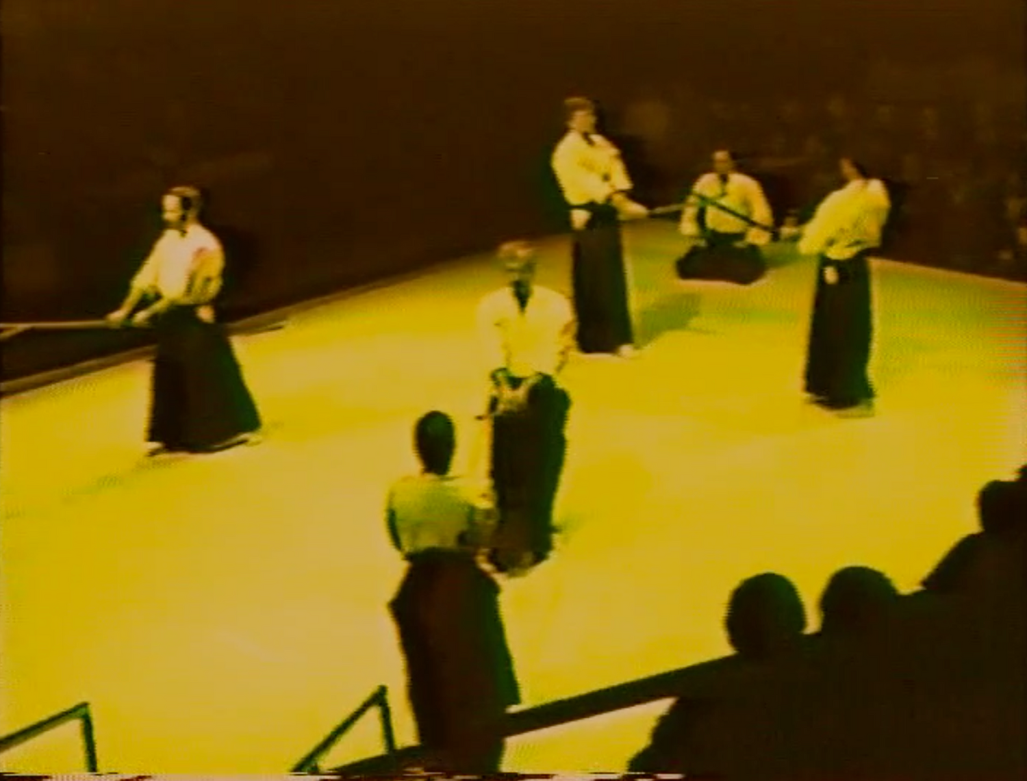 Rhythm of Aikido DVD by Massimo Di Villadorata (Preowned) - Budovideos Inc
