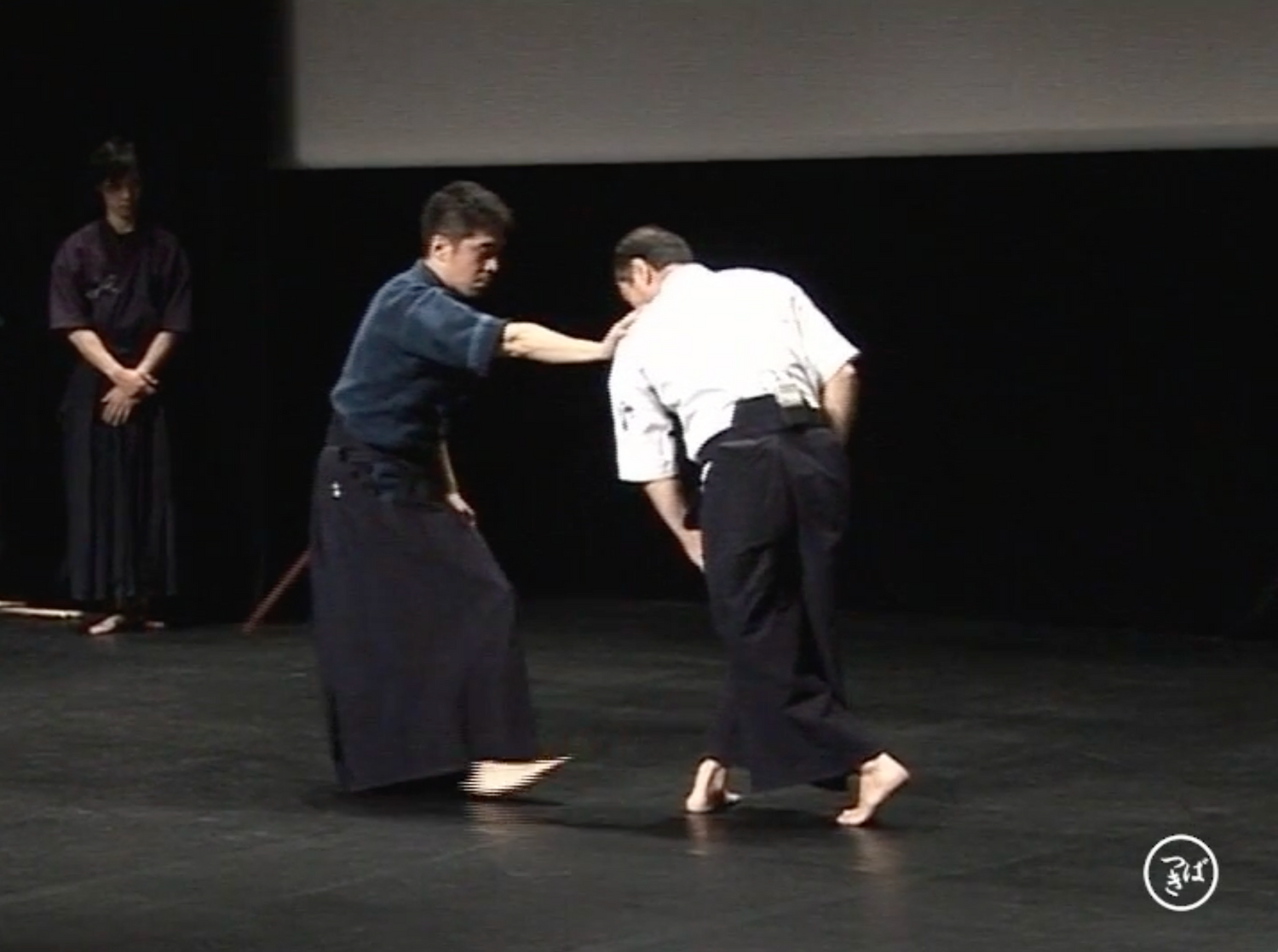 Tetsuzan Kuroda in Conference: Cultural Heritage of Martial Technique DVD (Preowned) - Budovideos Inc