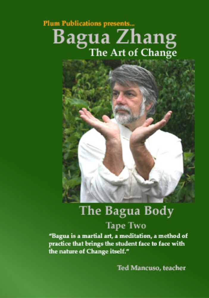 Bagua: The Art of Change DVD 2 by Ted Mancuso (Preowned) - Budovideos Inc