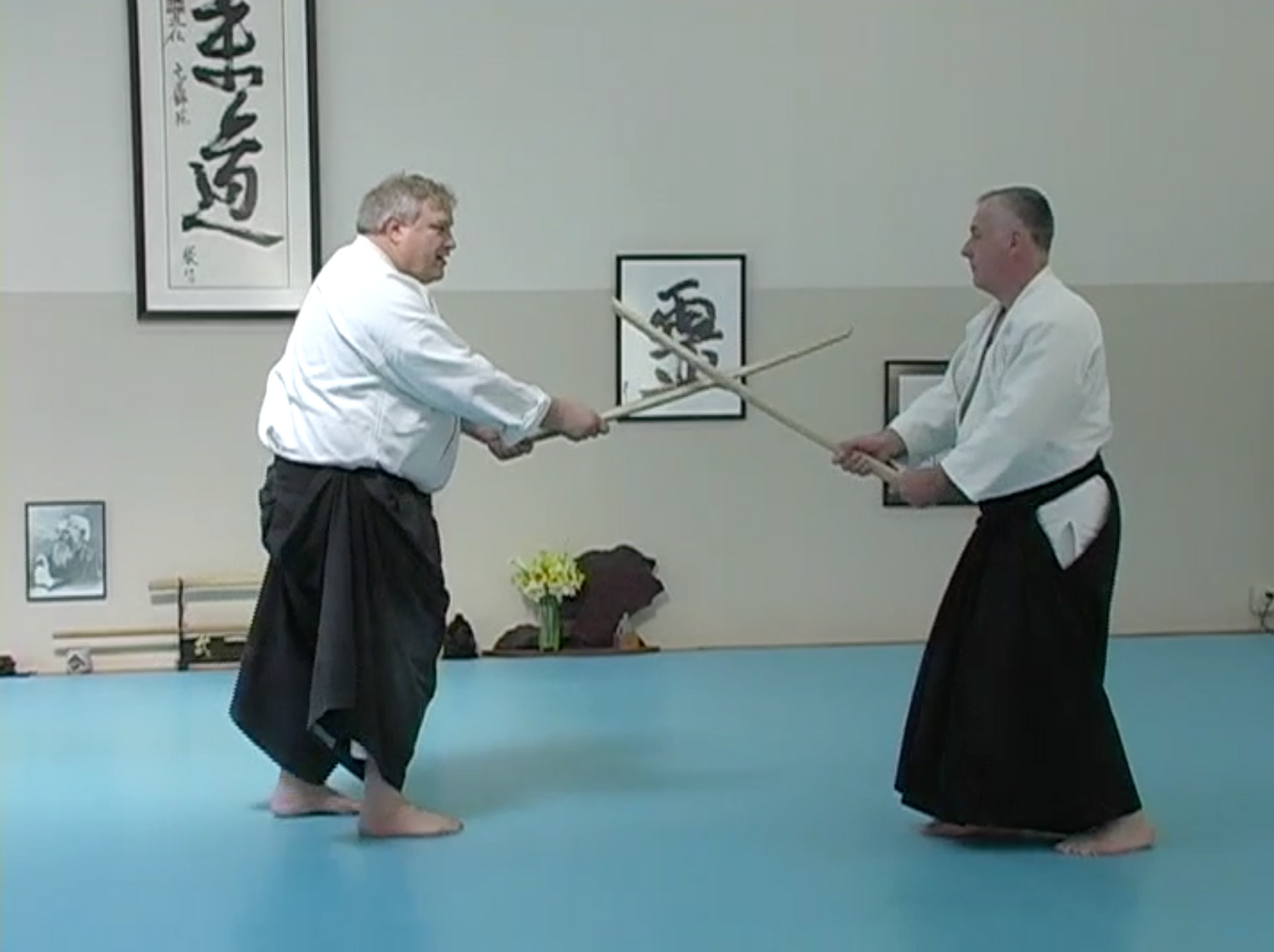 The Principles of the Aikido Sword & Saotome Sensei’s First Five Kumitachi DVD by George Ledyard (Preowned) - Budovideos