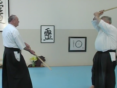 The Principles of the Aikido Sword & Saotome Sensei’s First Five Kumitachi DVD by George Ledyard (Preowned) - Budovideos