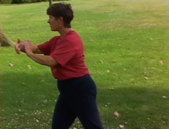 Tai Chi for Women DVD by Claire Hager (Preowned) - Budovideos Inc