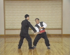 Kung Fu Baguazhang 3 DVD Set by Adam Hsu (Preowned) - Budovideos