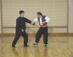 Kung Fu Baguazhang 3 DVD Set by Adam Hsu (Preowned) - Budovideos
