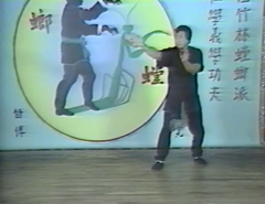 Southern Praying Mantis Kung Fu Vol 2: Three Step Arrow DVD by Gin Foon Mark (Preowned) - Budovideos