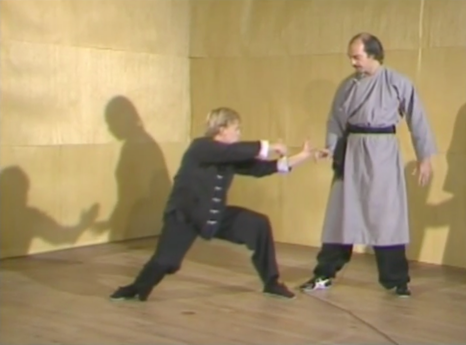 Pa Kua Chang 6 DVD Set by Jerry Alan Johnson (Preowned) - Budovideos