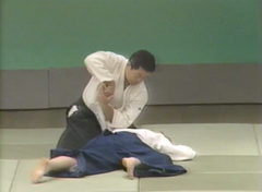 3rd Aikido Friendship Demo Part 2 DVD (Preowned) - Budovideos
