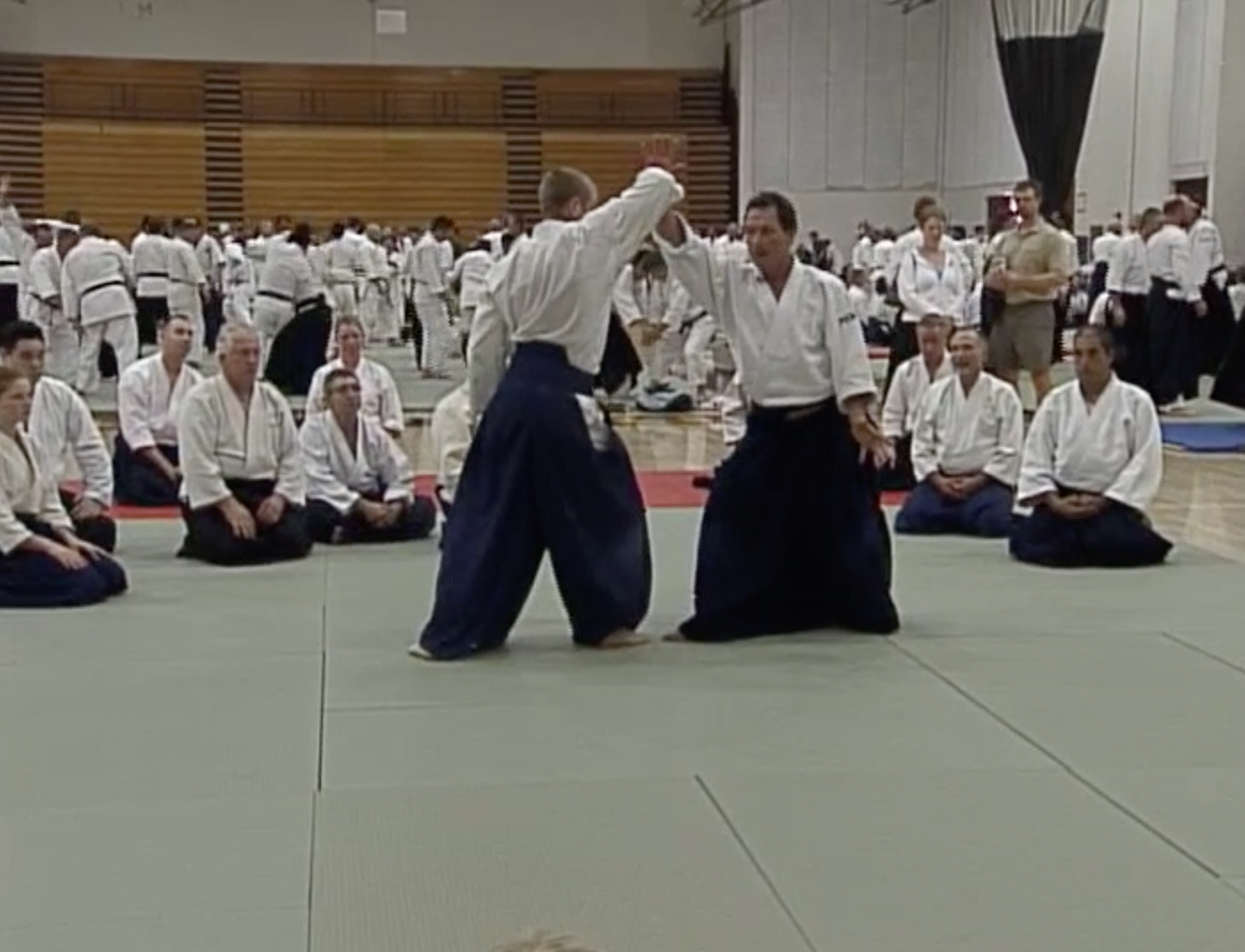 Aikido Odyssey DVD by Christian Tissier (Preowned) - Budovideos