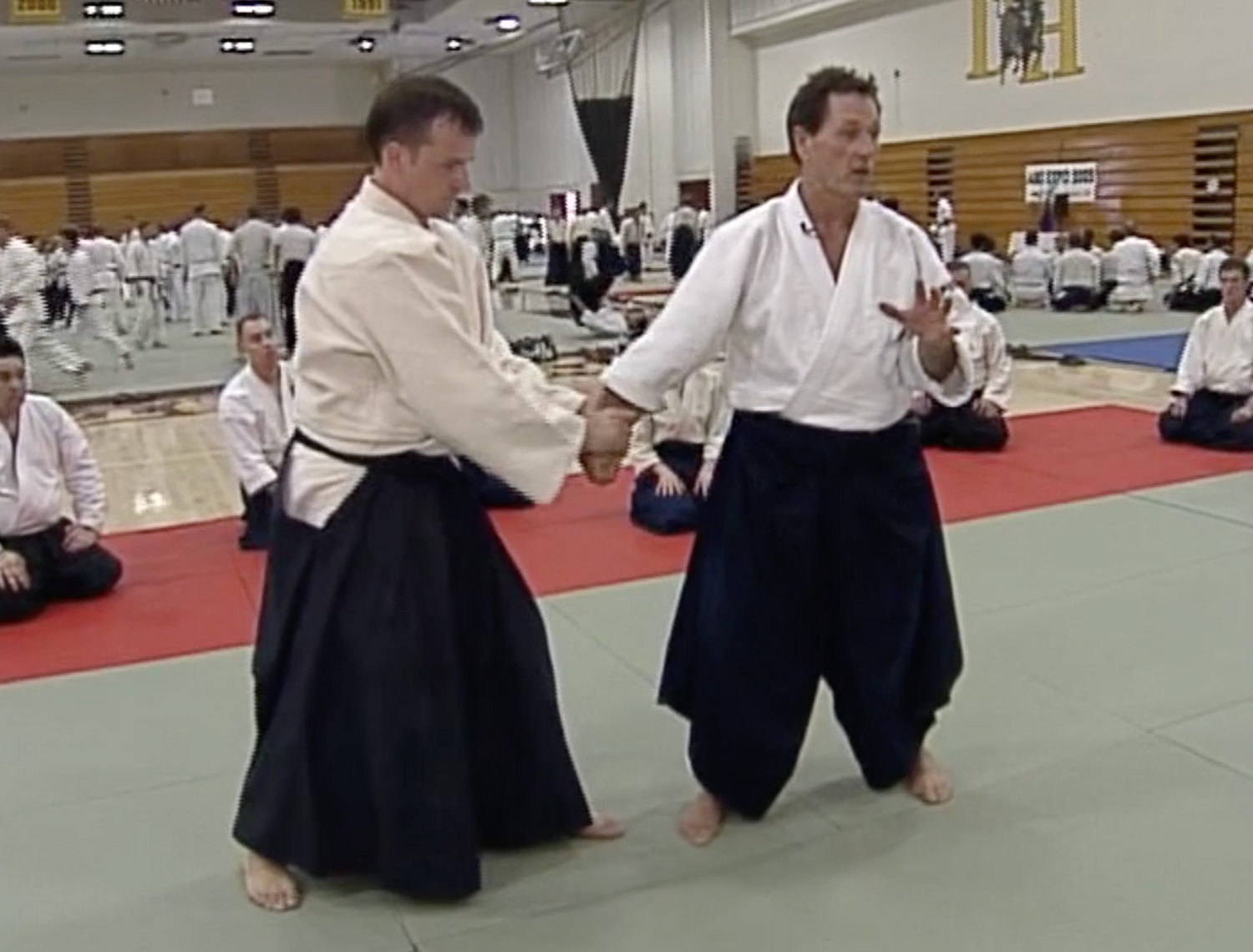 Aikido Odyssey DVD by Christian Tissier (Preowned) - Budovideos