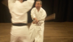 Shintaido Body Movements of Self Expression DVD by Haruyoshi Fugaku Ito (Preowned) - Budovideos