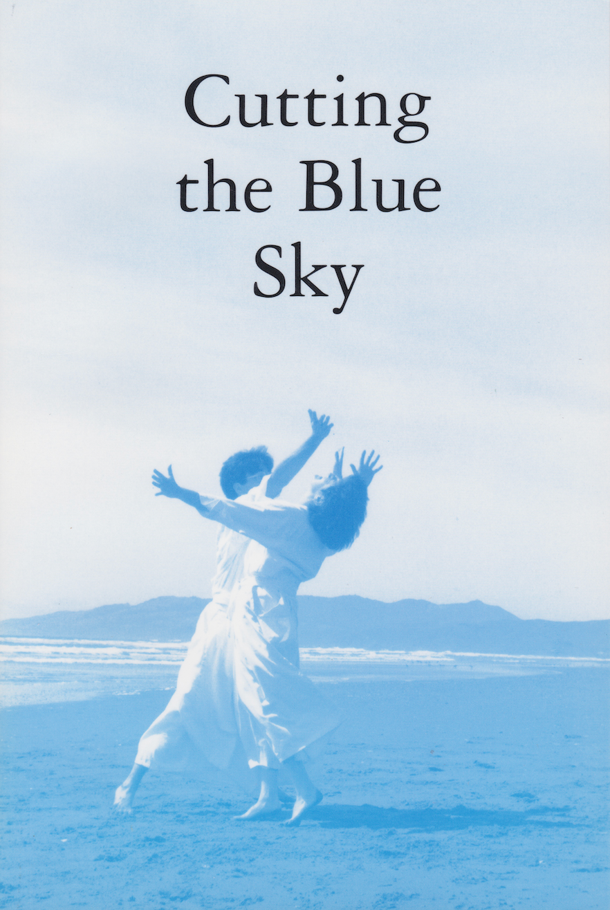Cutting the Blue Sky: Shintaido of America 25 Years: 1976-2001 Book (Preowned) - Budovideos