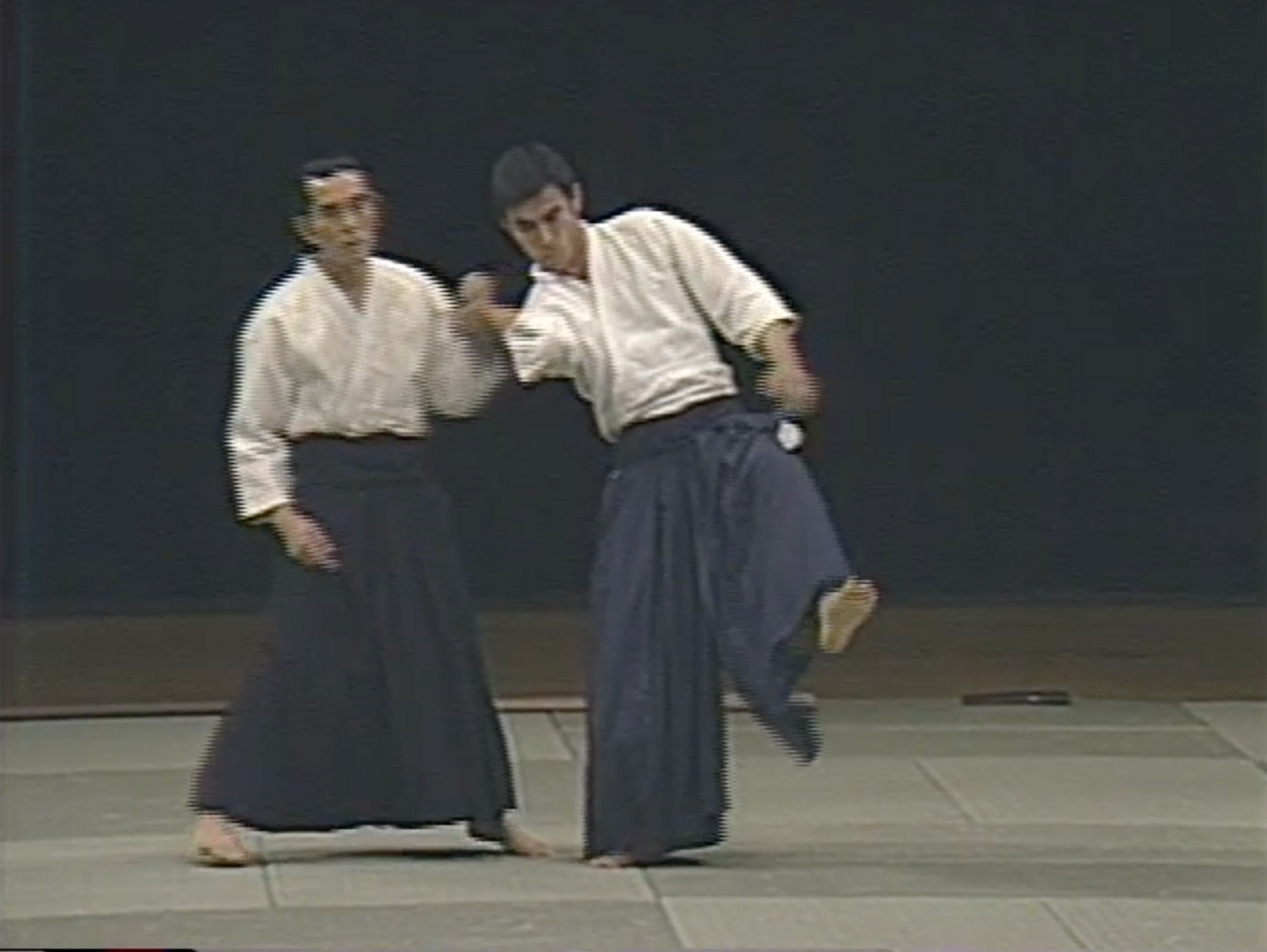 1st Aikido Friendship Demo DVD 1 (Preowned) - Budovideos
